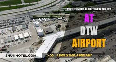 Exploring DTW: Southwest Airlines' Terminal Guide
