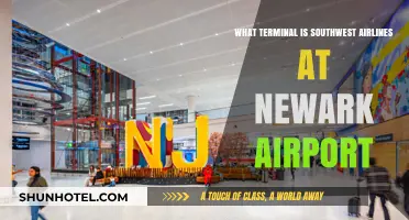 Exploring Newark Airport: Southwest Airlines' Terminal Guide