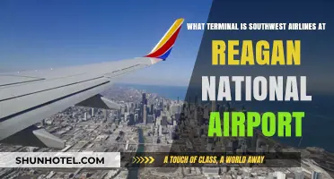 Exploring Reagan National: Southwest Airlines' Terminal Guide