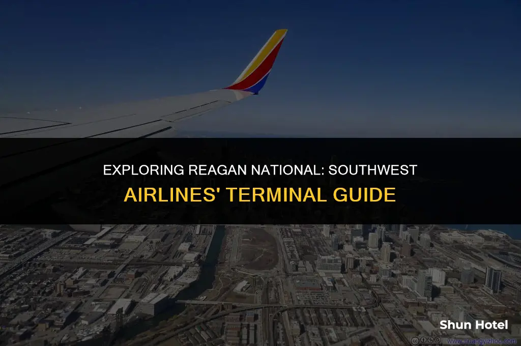 what terminal is southwest airlines at reagan national airport