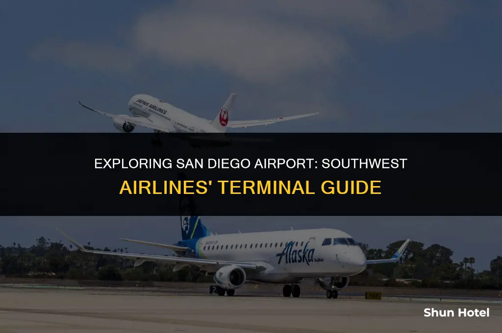 what terminal is southwest airlines at san diego california airport