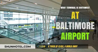 Exploring Baltimore Airport: Southwest Airlines' Terminal Guide