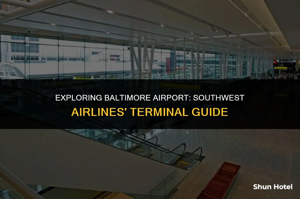 what terminal is southwest at baltimore airport
