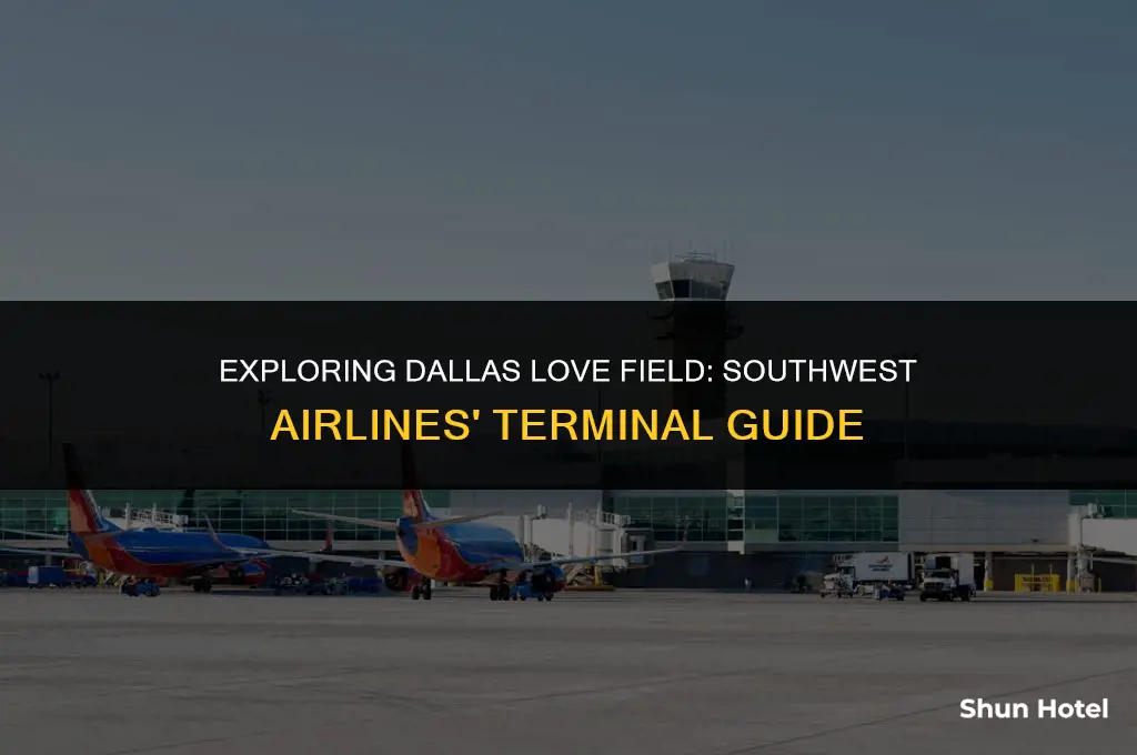 what terminal is southwest at dallas love field airport