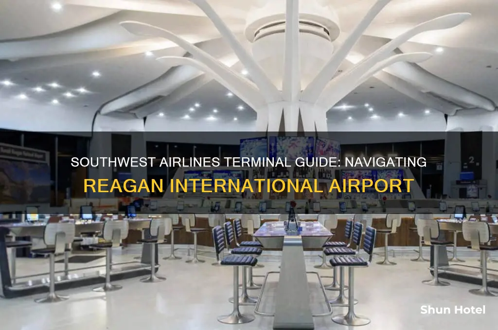 what terminal is southwest at reagan international airport