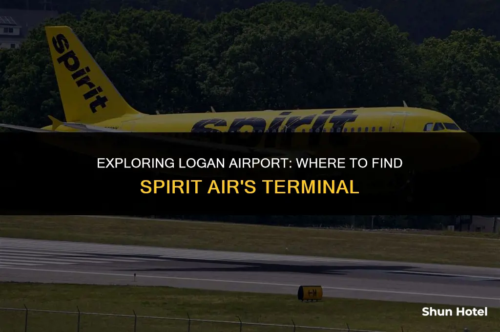 what terminal is spirit air at logan airport