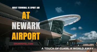 Exploring Newark Airport: Where to Find Spirit Airlines Terminal
