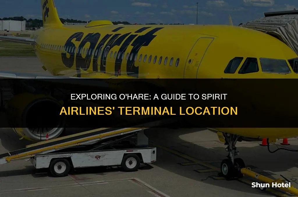 what terminal is spirit air at o