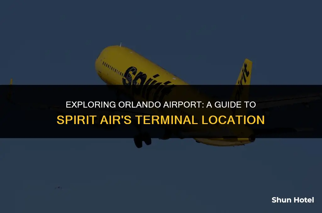 what terminal is spirit air in orlando airport