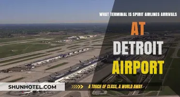 Spirit Airlines Arrivals at Detroit Airport: Your Guide to Terminals
