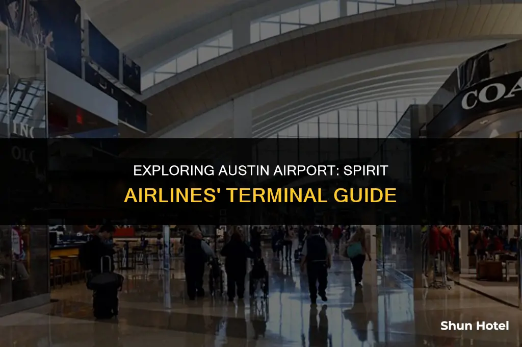 what terminal is spirit airlines at austin airport