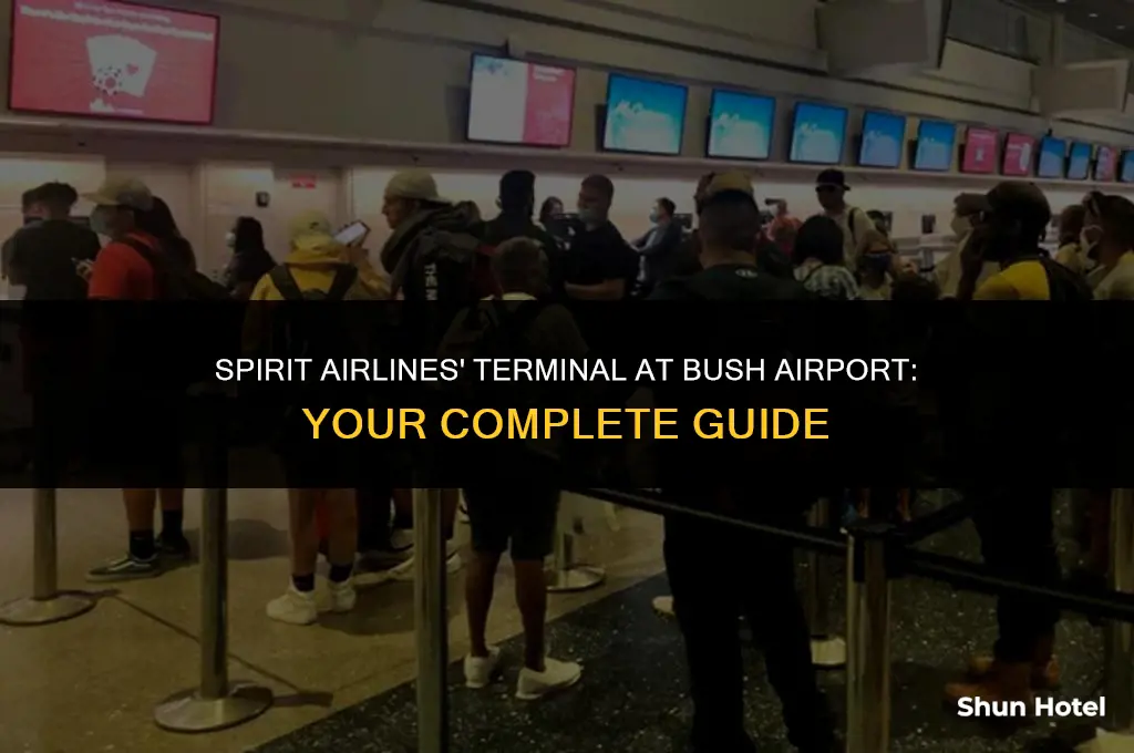 what terminal is spirit airlines at bush airport