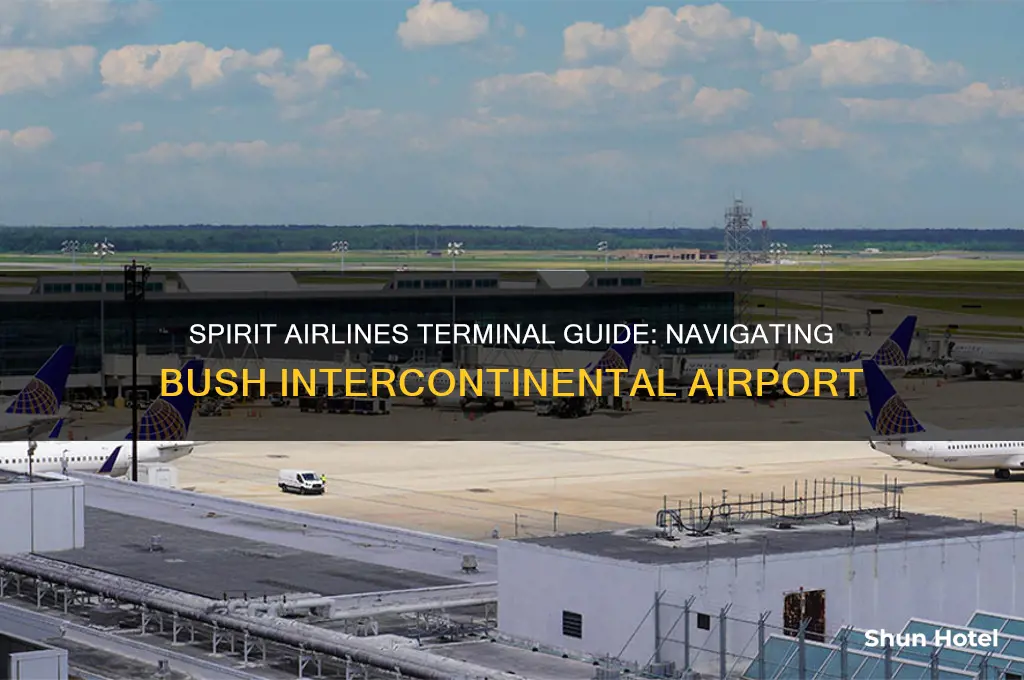 what terminal is spirit airlines at bush international continental airport