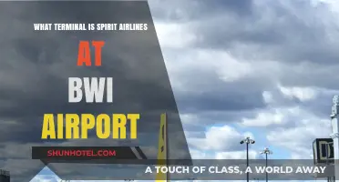 Exploring BWI: Unveiling Spirit Airlines' Terminal Location