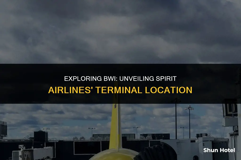 what terminal is spirit airlines at bwi airport