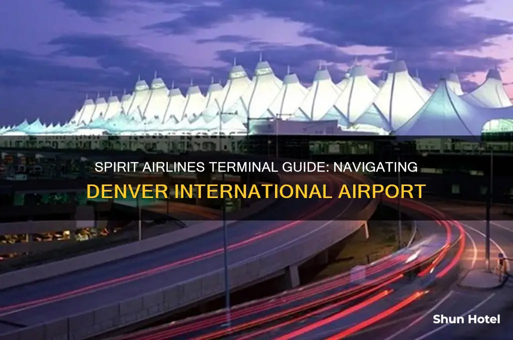 what terminal is spirit airlines at denver international airport