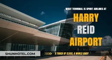 Exploring Harry Reid Airport: Spirit Airlines' Terminal Guide