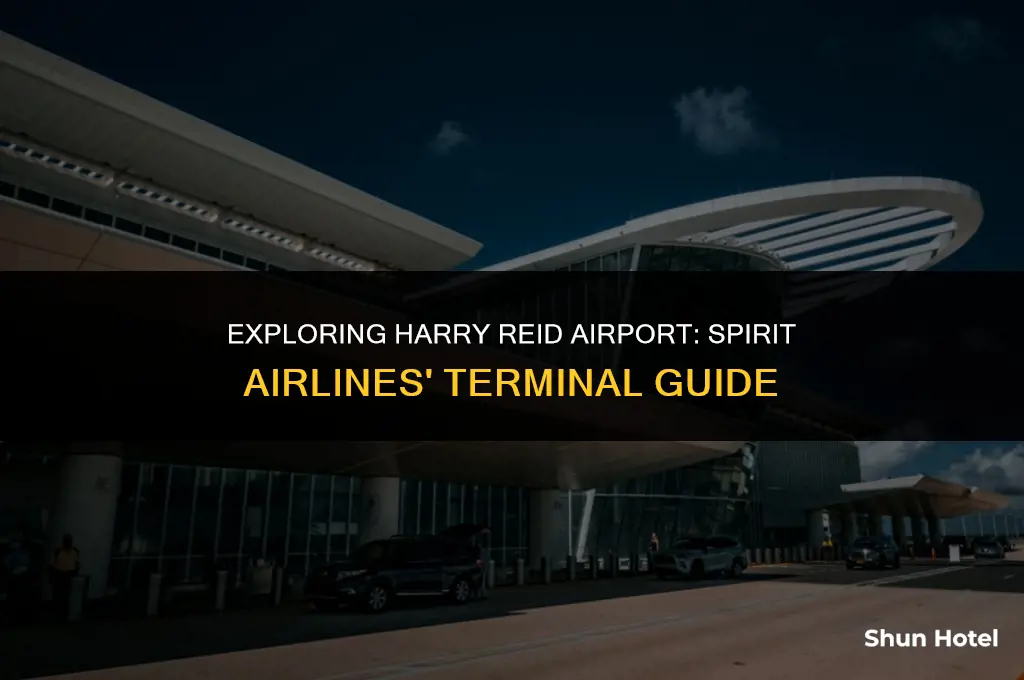 what terminal is spirit airlines at harry reid airport