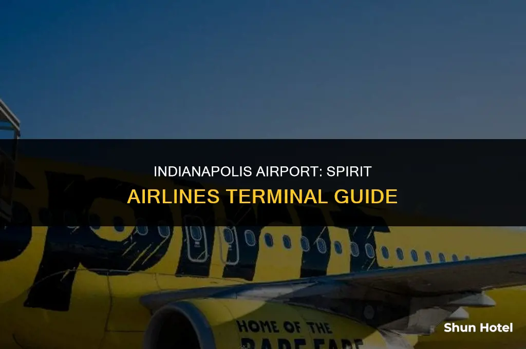 what terminal is spirit airlines at indianapolis airport