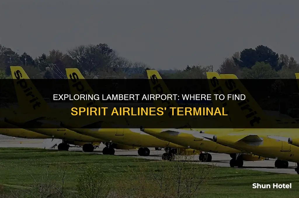 what terminal is spirit airlines at lambert airport