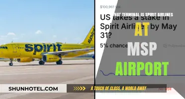 Exploring MSP Airport: Spirit Airlines' Terminal Guide