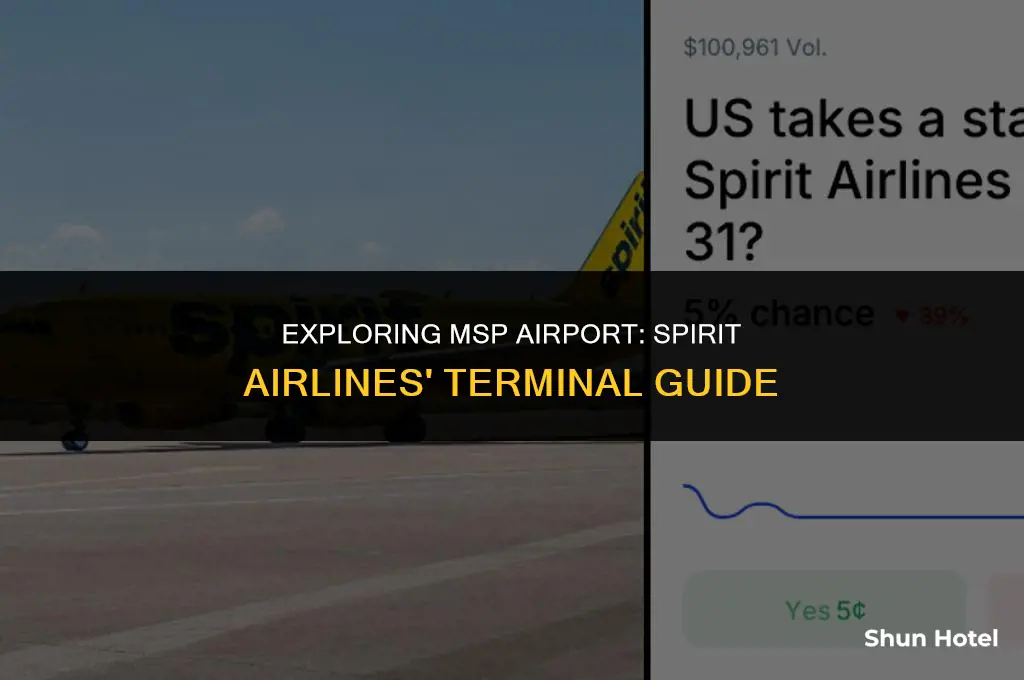 what terminal is spirit airlines at msp airport