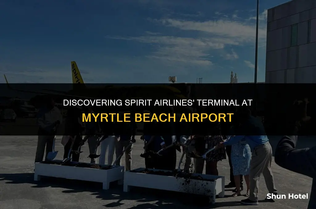 what terminal is spirit airlines at myrtle beach airport