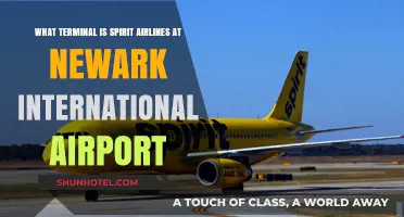 Spirit Airlines Terminal Guide: Navigating Newark International Airport