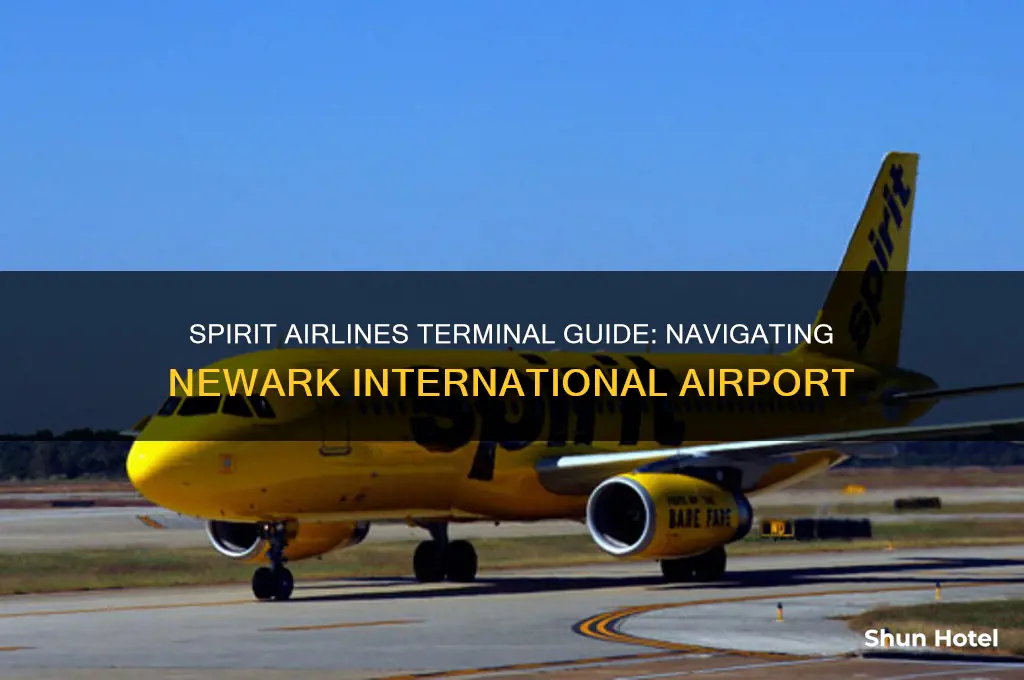 what terminal is spirit airlines at newark international airport