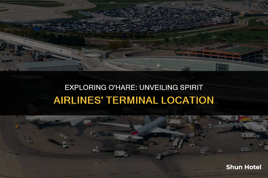 what terminal is spirit airlines at ohare airport