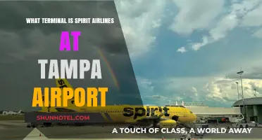 Exploring Tampa Airport: Spirit Airlines' Terminal Guide