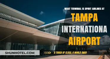 Spirit Airlines Terminal Guide: Navigating Tampa International Airport