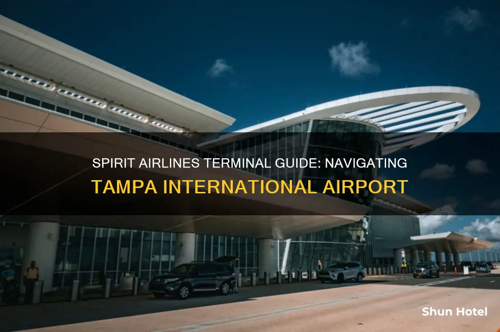 what terminal is spirit airlines at tampa international airport