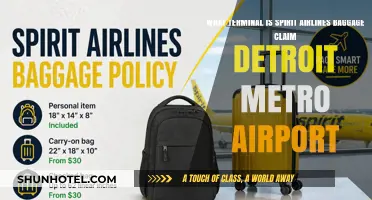 Detroit Metro Airport: Spirit Airlines Baggage Claim Terminal Guide