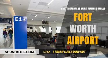 Exploring DFW: Spirit Airlines' Terminal Guide