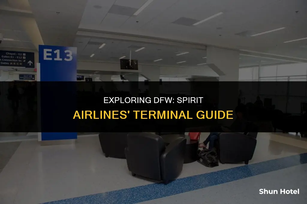 what terminal is spirit airlines dallas fort worth airport