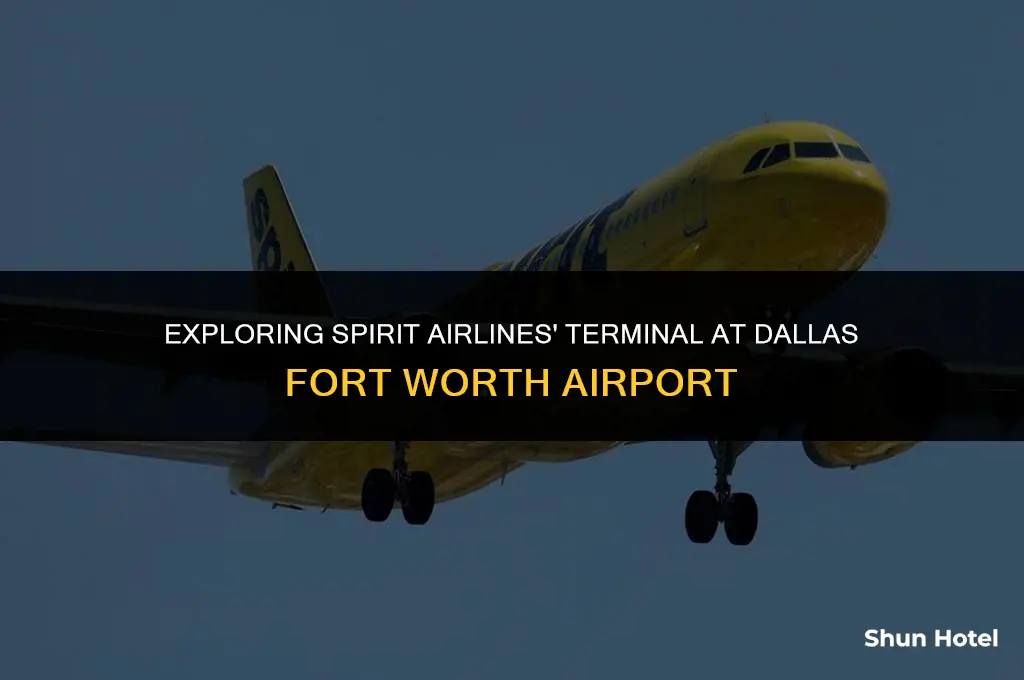 what terminal is spirit airlines dallas forth worth airport