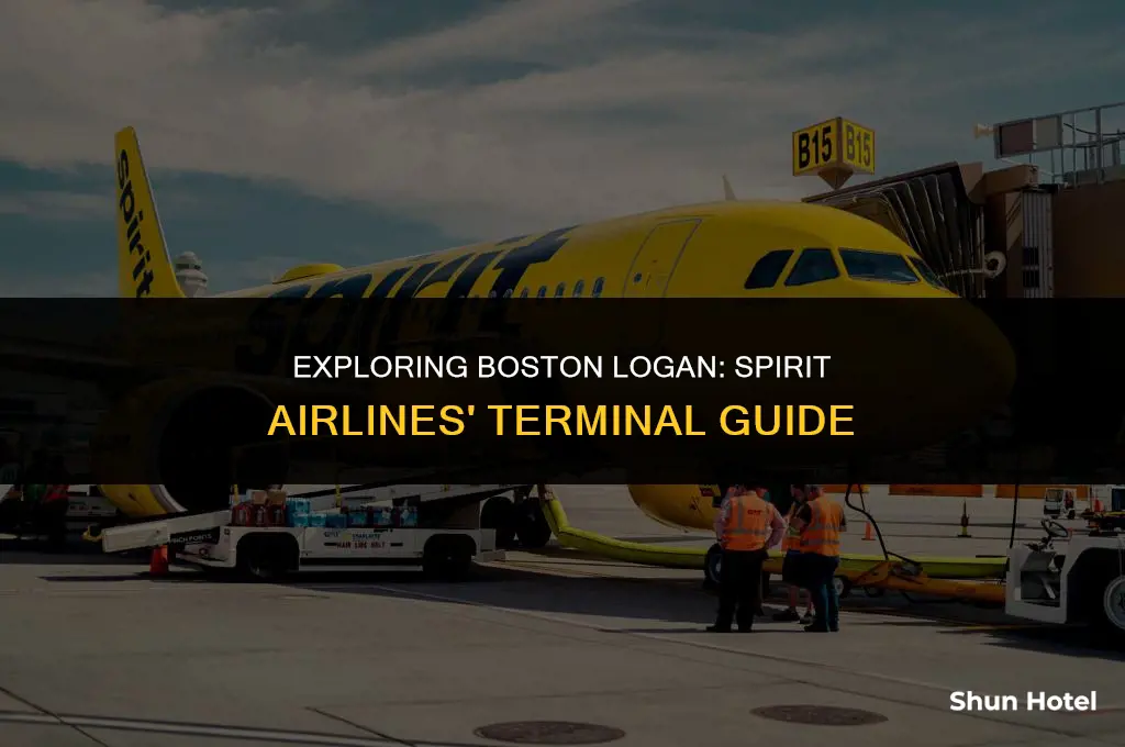 what terminal is spirit airlines in boston logan airport