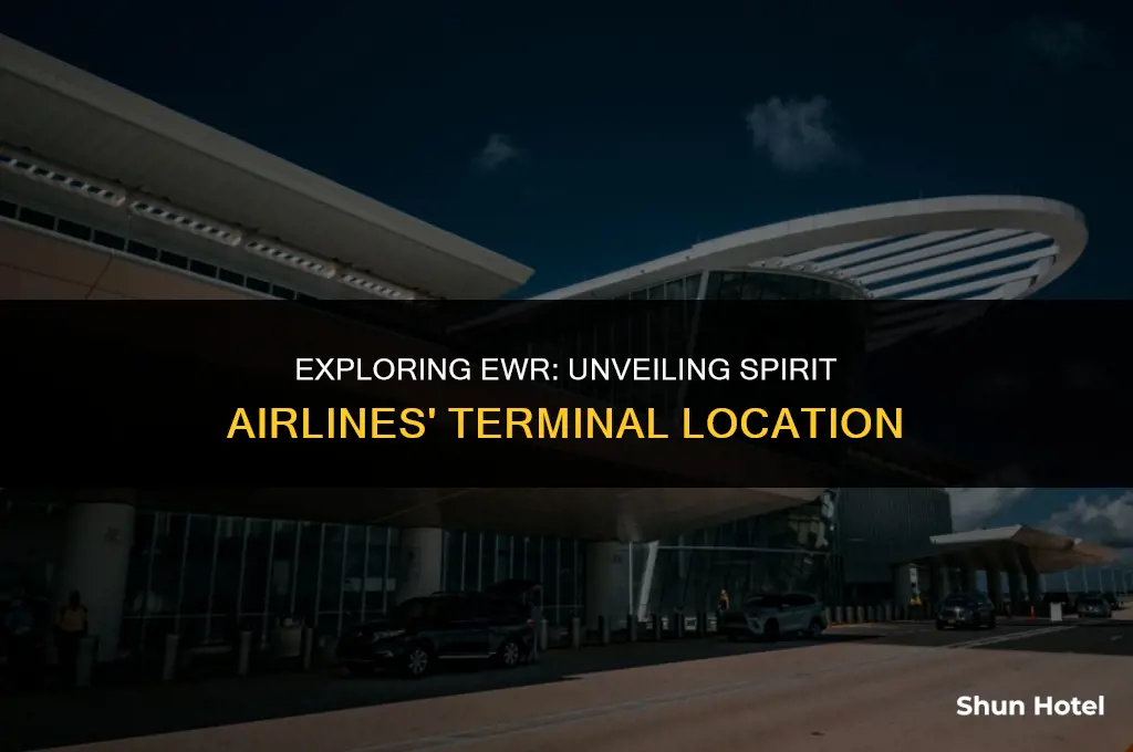 what terminal is spirit airlines in ewr airport