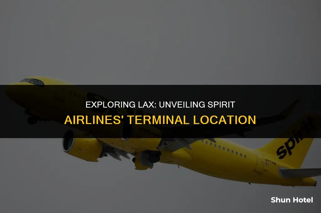 what terminal is spirit airlines on the lax airport