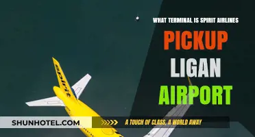 Spirit Airlines at Logan: Your Guide to Terminal Pickup