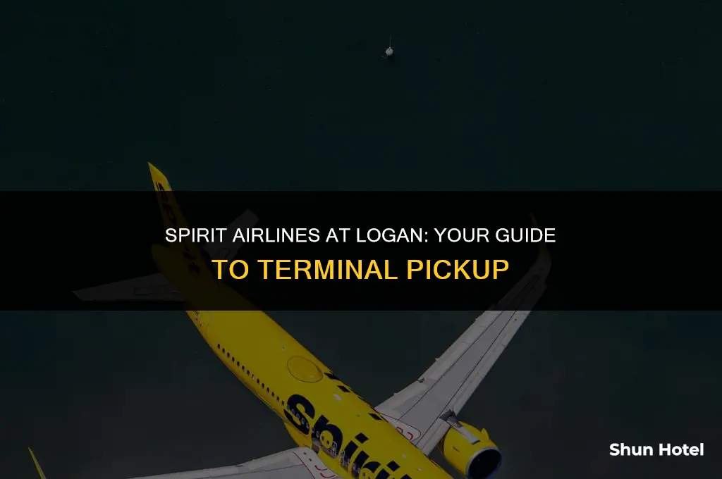what terminal is spirit airlines pickup ligan airport