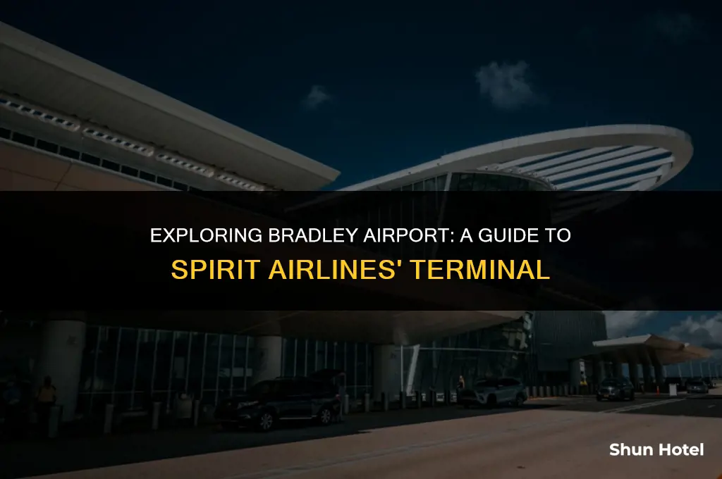what terminal is spirit at bradley airport