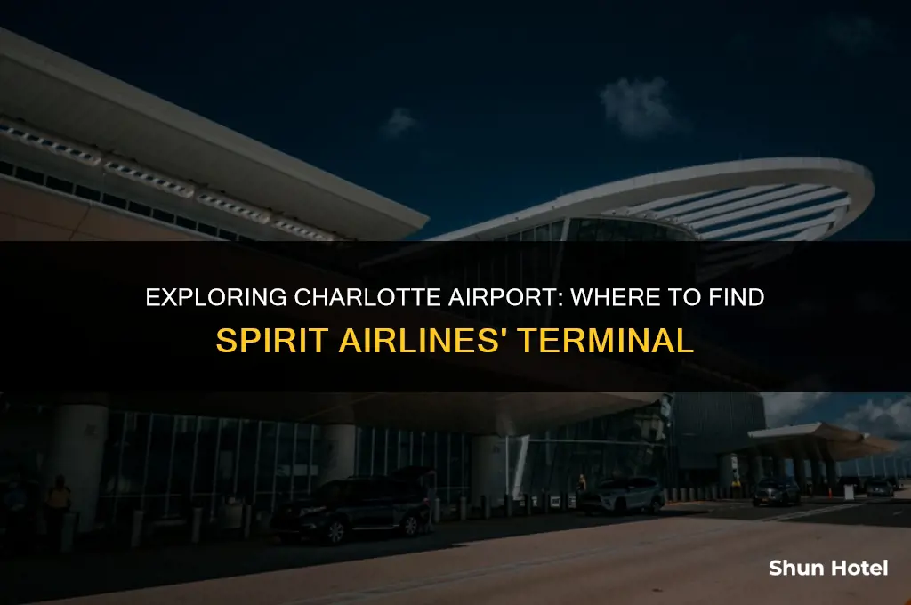 what terminal is spirit at charlotte airport