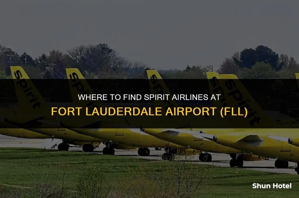 what terminal is spirit at fll airport