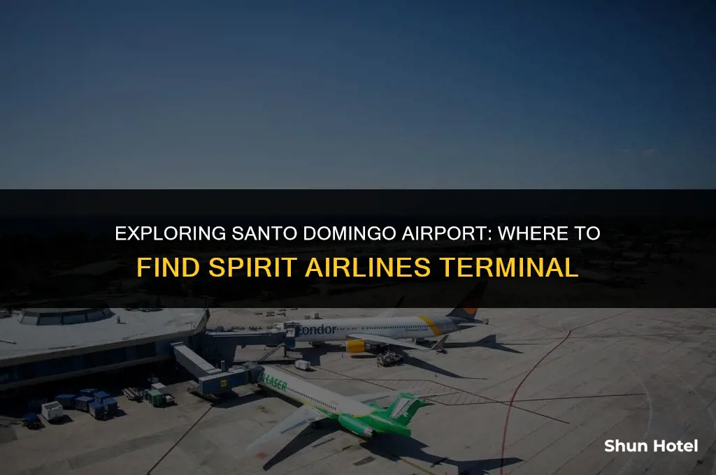 what terminal is spirit at las americas santo domingo airport