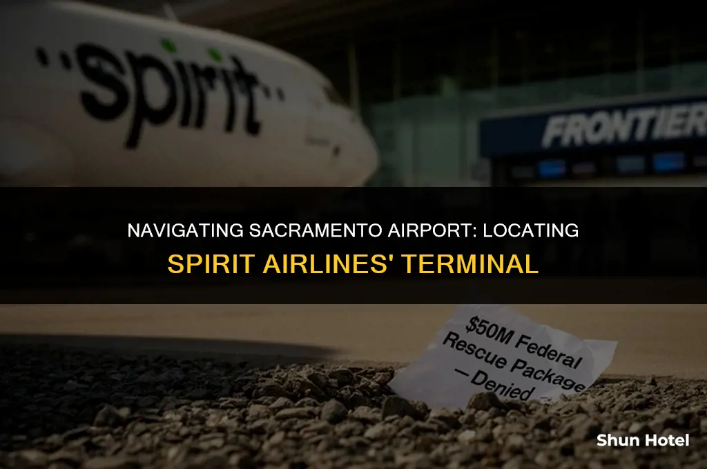what terminal is spirit at sacramento airport