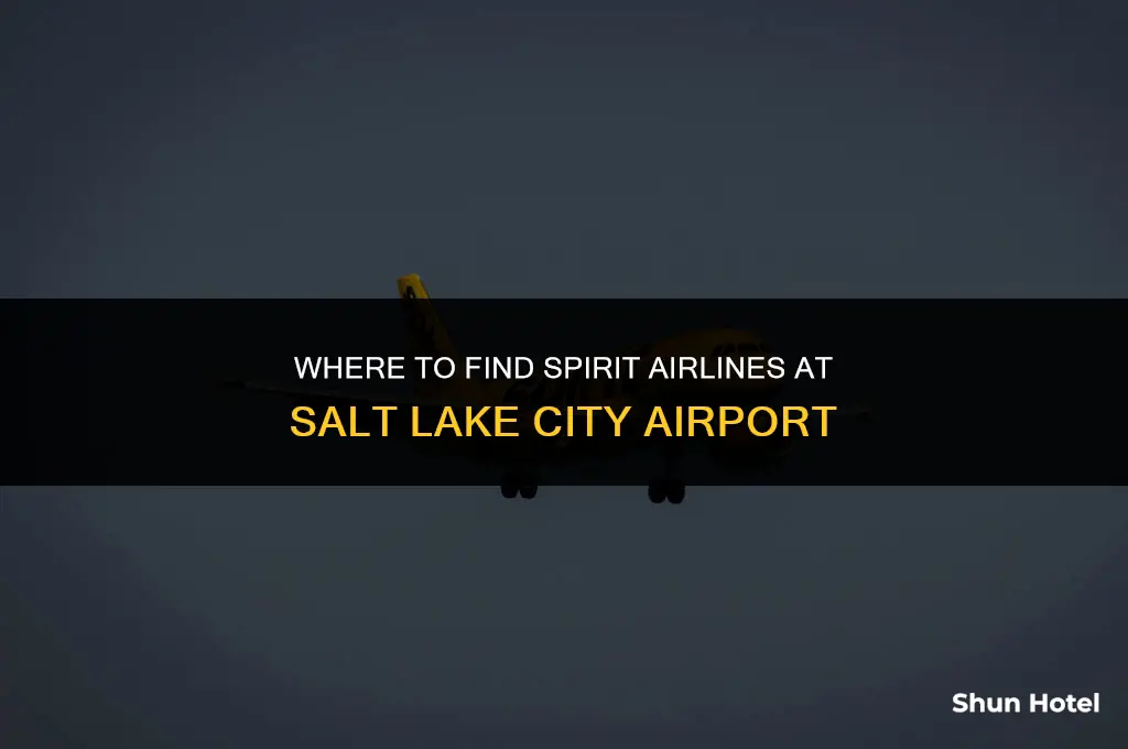 what terminal is spirit at slc airport