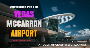 Exploring McCarran Airport: Where to Find Spirit Airlines' Terminal