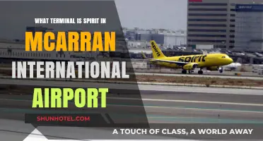 Spirit Airlines Terminal Guide: Navigating McCarran International Airport